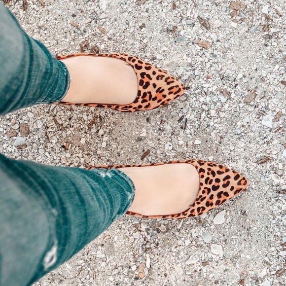 BC Footwear Shoes - NIB Vegan Kitten Heel Leopard Pointy Toe Pump